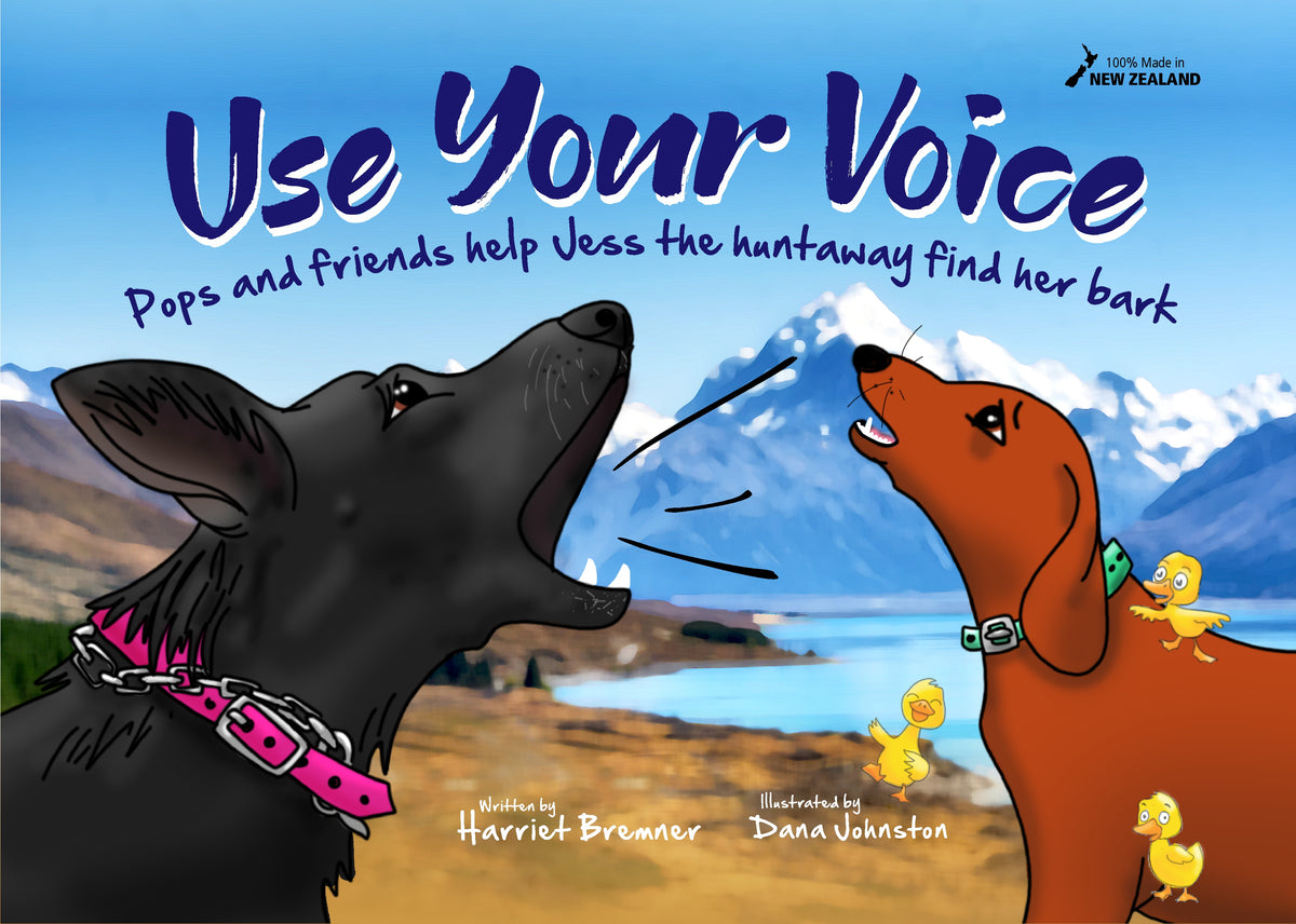 Use Your Voice Skylight Trust